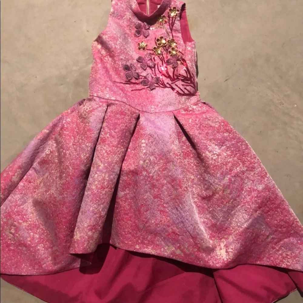 Beautiful ZOE LTD Girl Pink Embroidered Appliqué Dress Size 8.